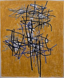 jean-marc-brunet-espace-racineux IV 2025-encre de Chine-pastel-pierre noire sur papier cartonné-50x65 cm